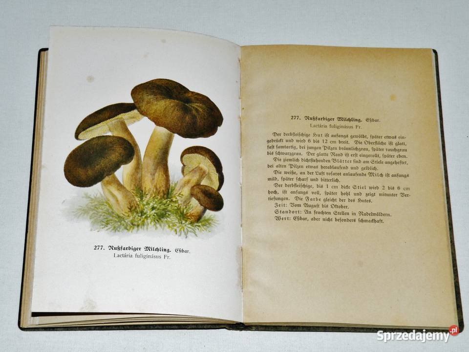 Fhrer fr Pilzfreunde E Michael Tom 3 Wyd B Antyki, Sztuka, Kolekcje Bydgoszcz sprzedam