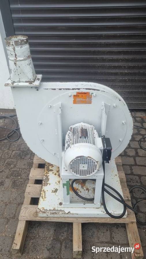Szlifierka szerokotaśmowa kalibrująca VIET sprzedam