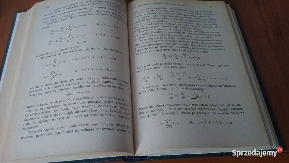 Równania fizyki matematycznej S K Godunow