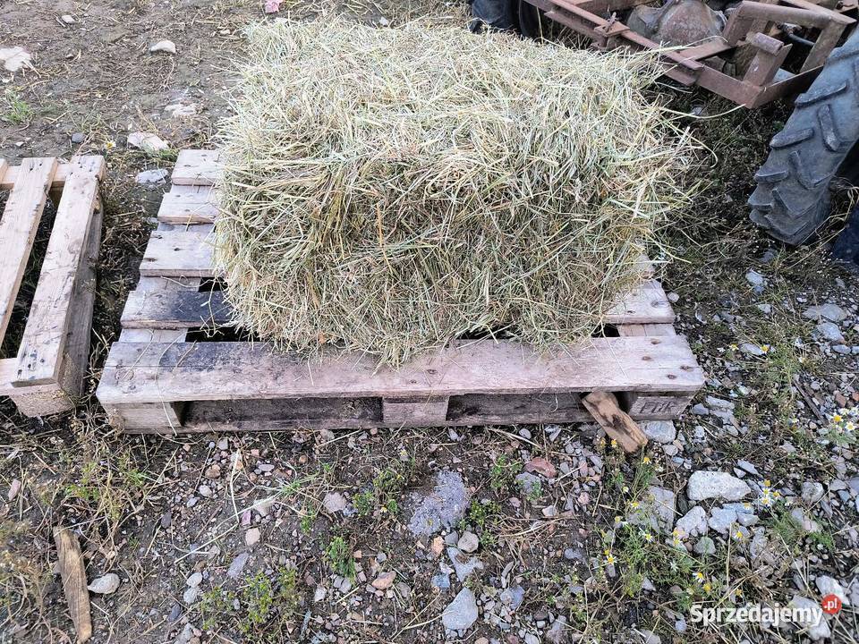 Kostki siana Produkcja roślinna Bielsko-Biała