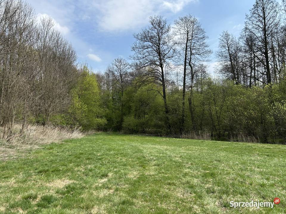 Sprzedam działkę rolną łąka rzeką Kosarzewka Tuszów