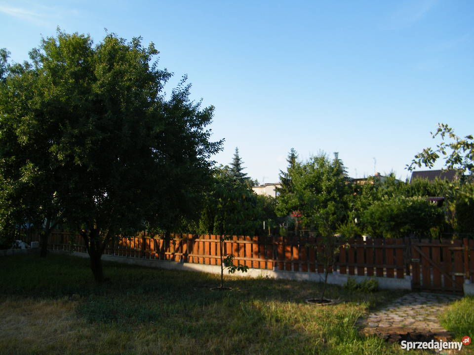 Sprzedam działkę ROD w Mosinie Mosina sprzedam