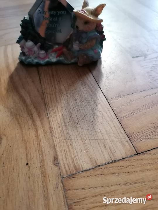 Królik z lusterkiem nowy Elbląg