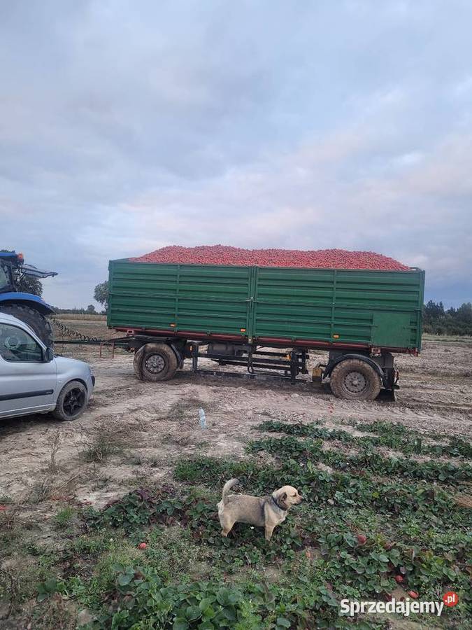 Przyczepa rolnicza 18t Ziółków sprzedam