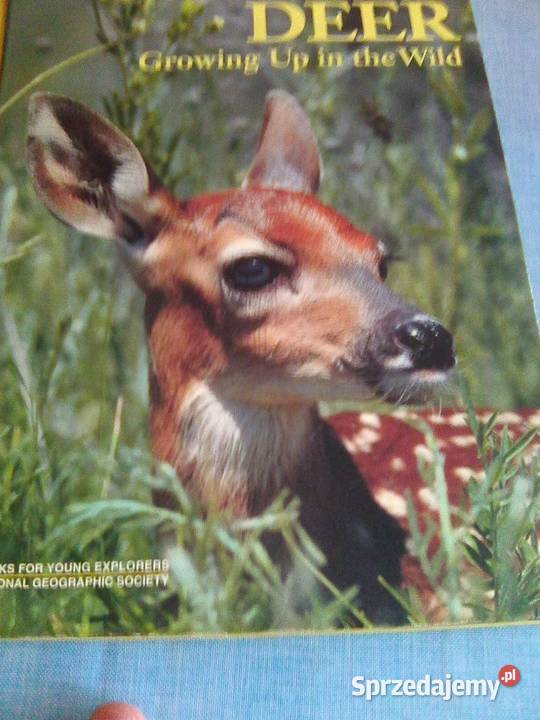 National Geographic Society Warszawa