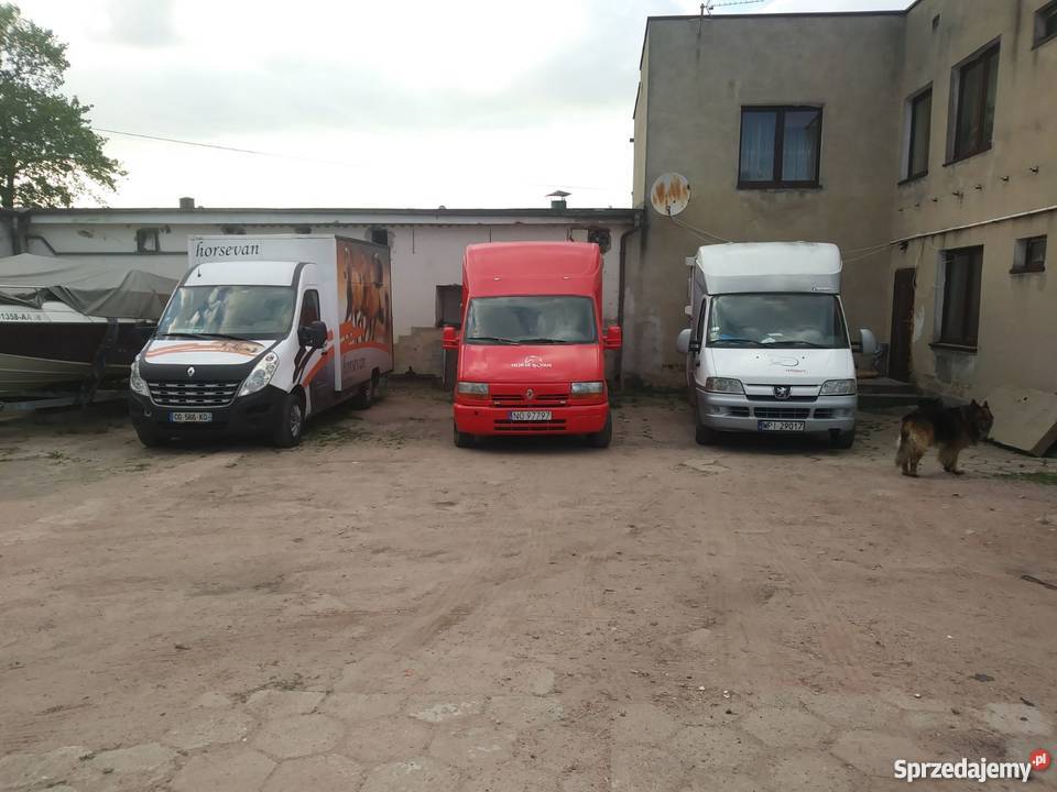 Koniowóz Renault wielkopolskie