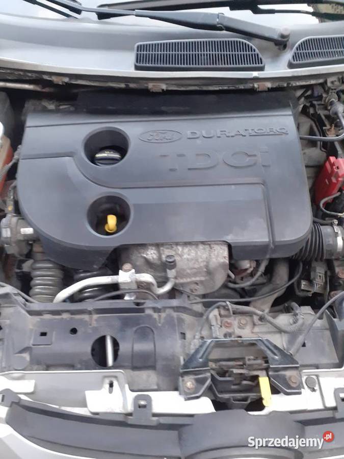 Ford Fiesta Rok produkcji 2012 Sulechów