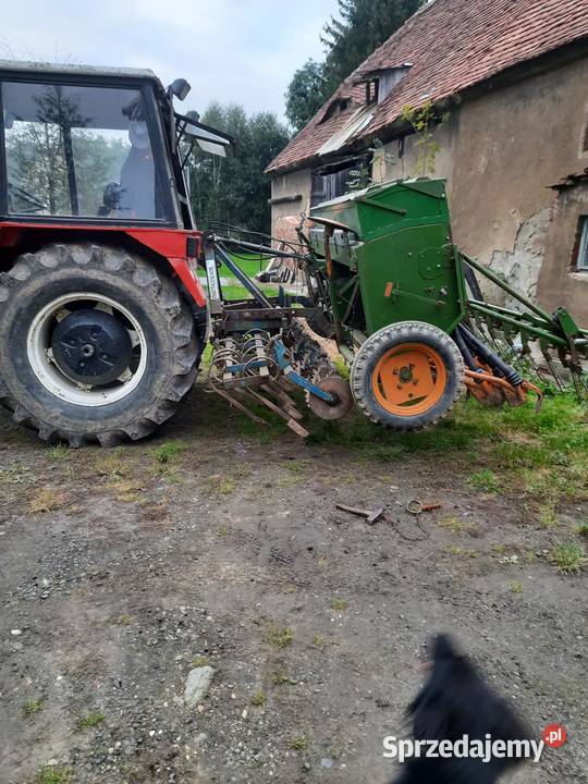 sprzedam siewnik AMAZONE D7 specjal II nieuszkodzony Bierna