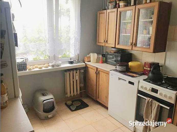 mieszkanie 2 pokoje 50 m2 Pabianice Nieruchomości