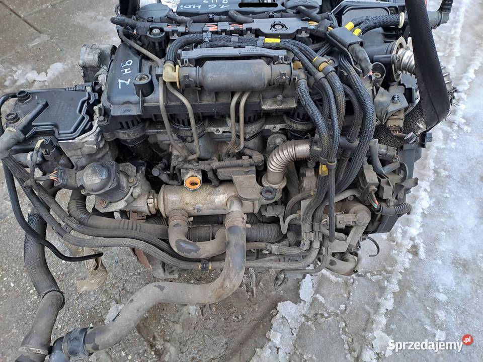 Citroen Peugeot 16 HDi 109 silnik kompletny kod Jastrzębie-Zdrój sprzedam