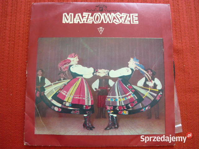 Pyta winylowa Mazowsze śląskie Myszków sprzedam