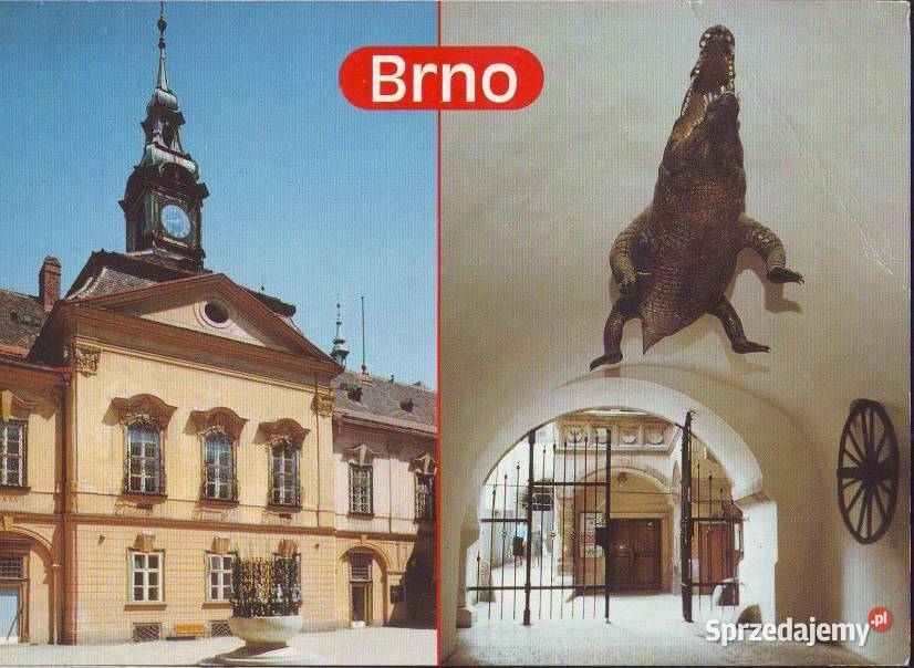 Kart Pocz Brno pozdrowienia 2004 Gliwice