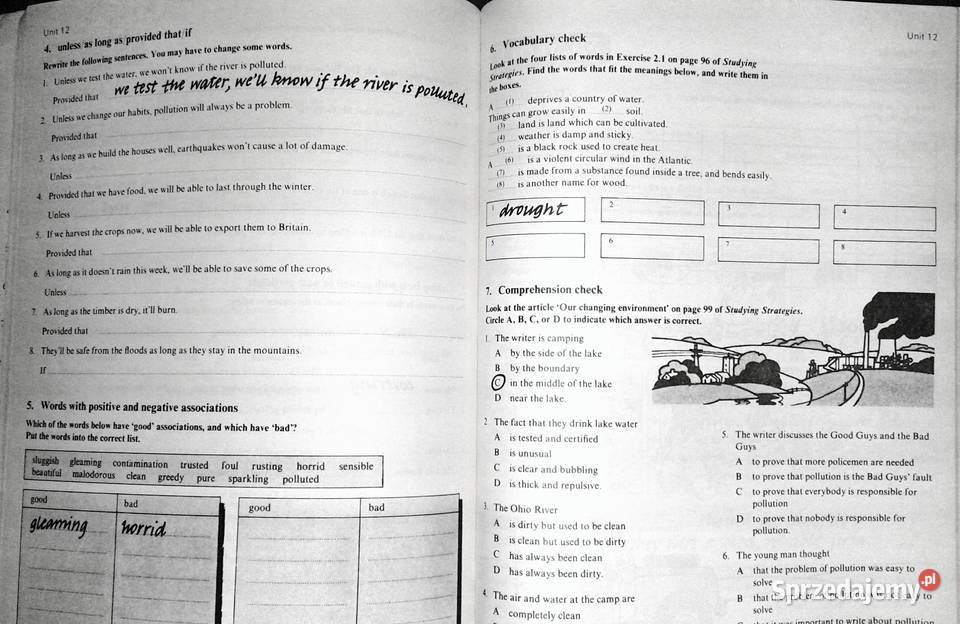 Studying Strategies Workbook Steve Elsworth miękka Chełm