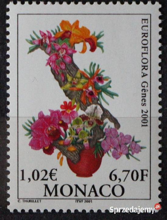 Monako 20 wielkopolskie Oborniki