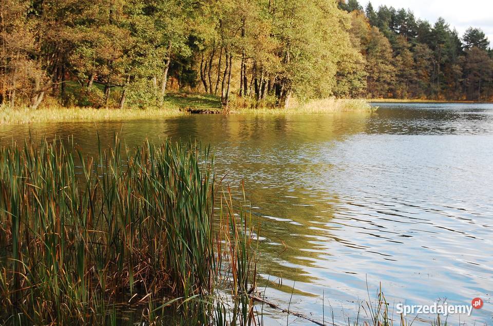 Stare Juchy działki z dojsciem do jeziora Garbas warmińsko-mazurskie