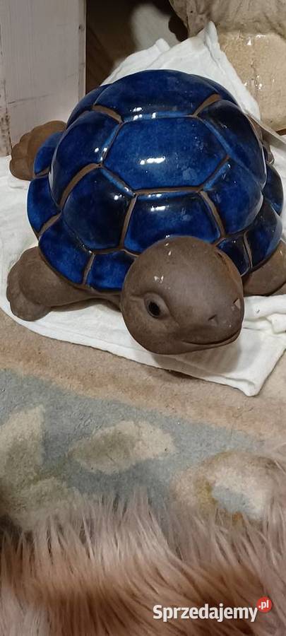 W POZNANIU KUPNO ŻÓLWIA Z GLINY CERAMIKI