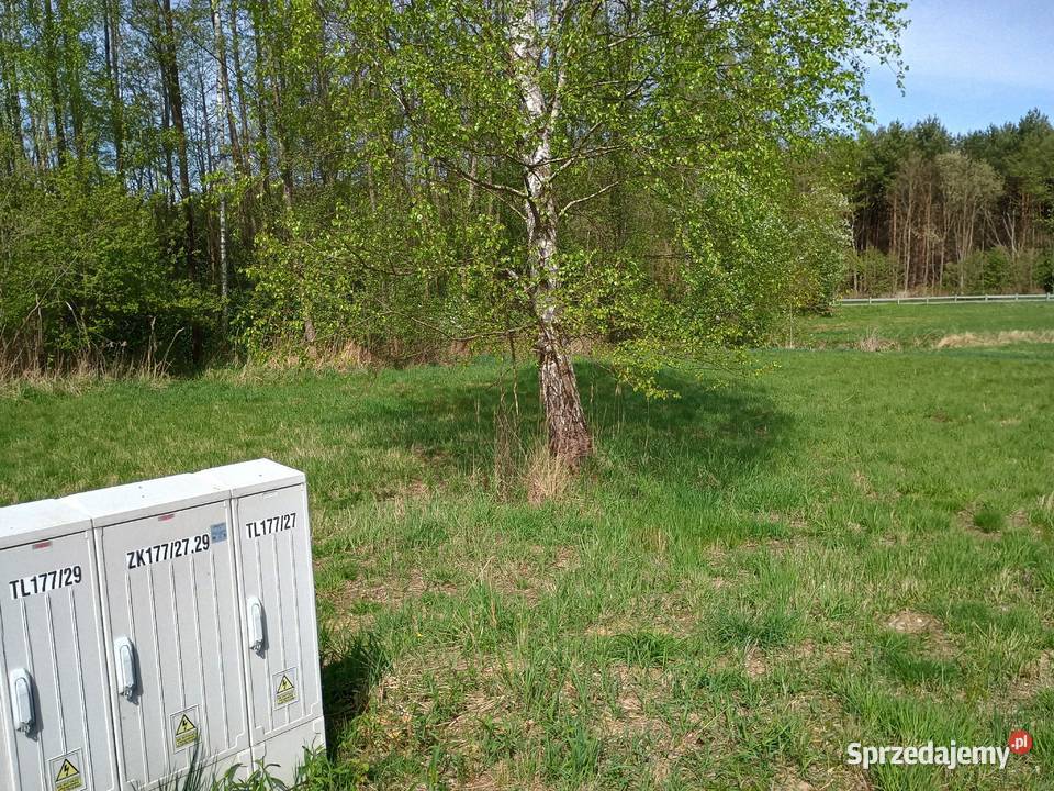 Działki budowlane Malerzów bez pośrednika