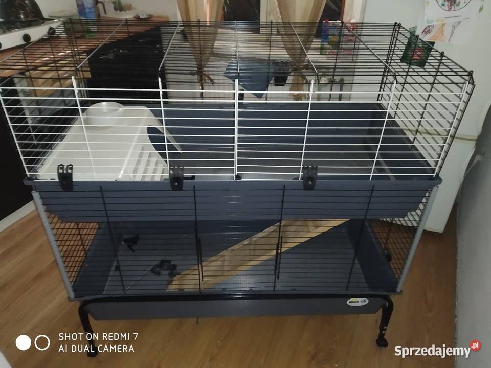 Klatka gryzoni śląskie