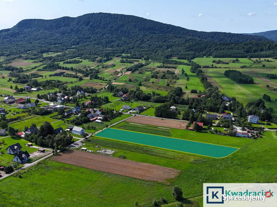 sprzedaży gruntu Cergowa 4842m2 160m podkarpackie