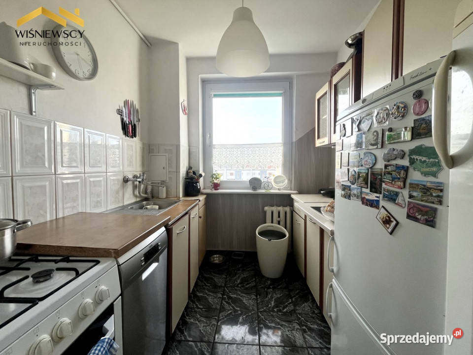 Do wynajęcia 3 pokoje 473 m Malbork sprzedam