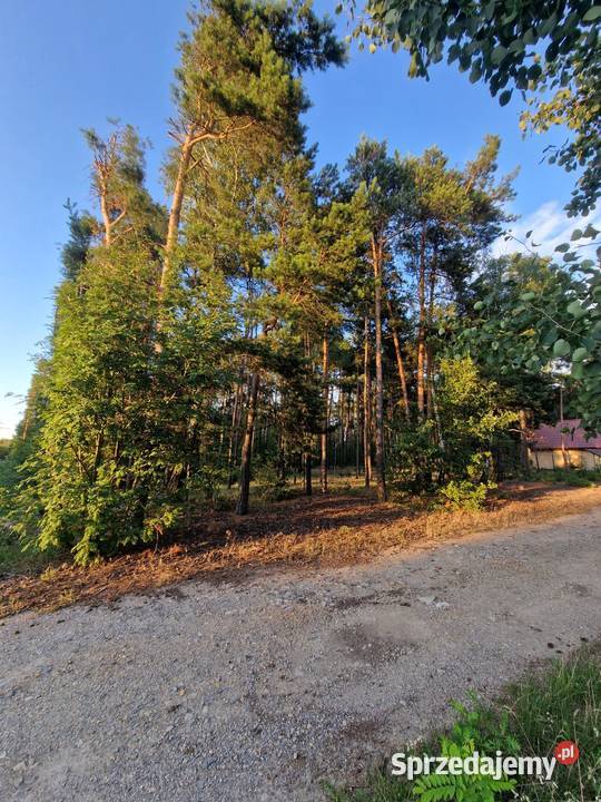 Działka budowlana Piotrków Tryb Wojska Polskiego 180zł/m2 łódzkie Piotrków Trybunalski sprzedam