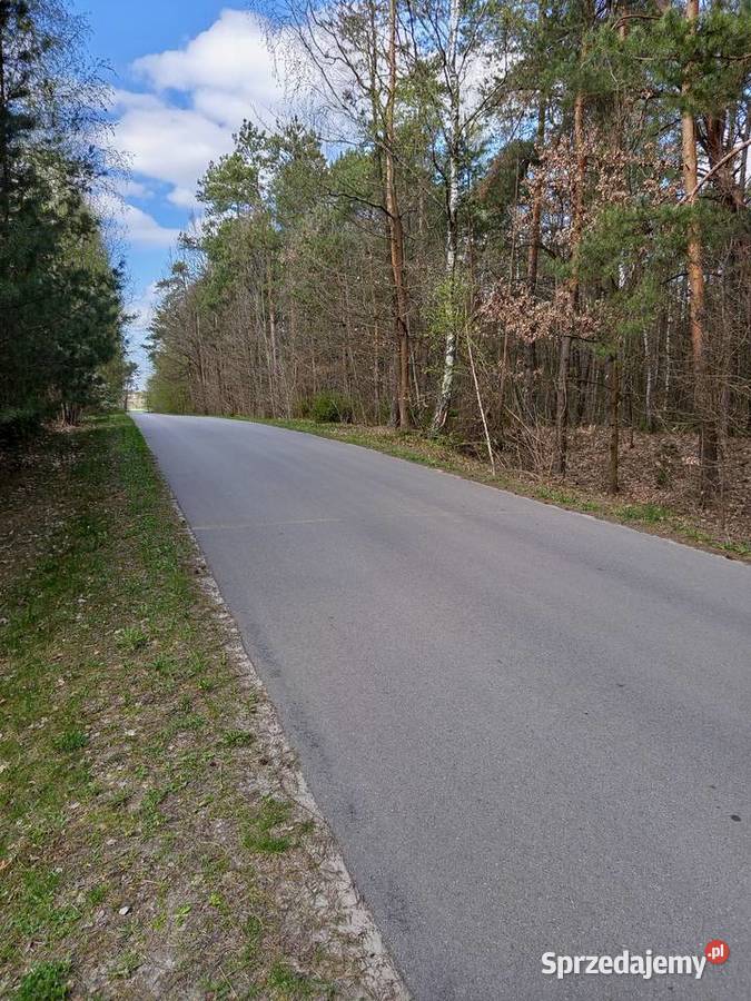 Sprzedam działkę rolną lesie 3900 m2 Talczyn