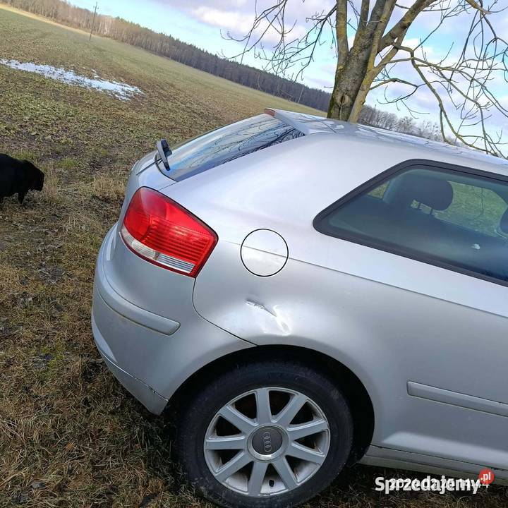 Audi a3 8p 20 tdi Rok produkcji 2004