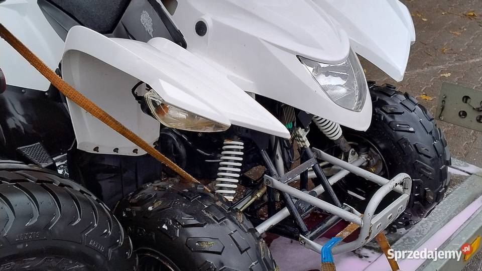 Aeon Cobra 2013r Kymco Tgb Access Sym Adly Goes 50cm3 Nowy Dwór Mazowiecki