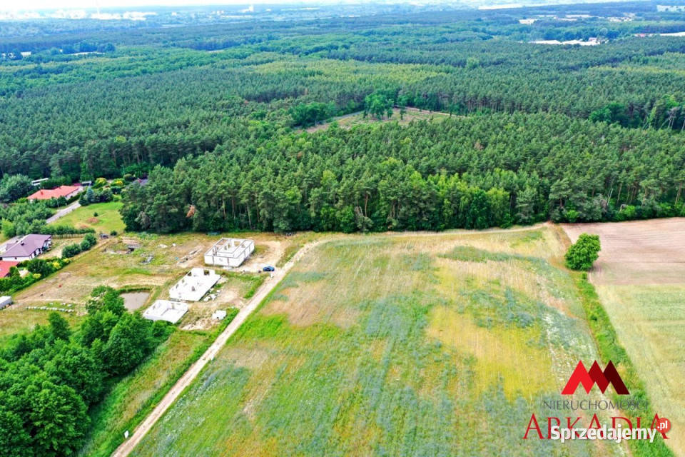 Grunt Nowy Witoszyn 3637m2 3637m2 kujawsko-pomorskie sprzedam