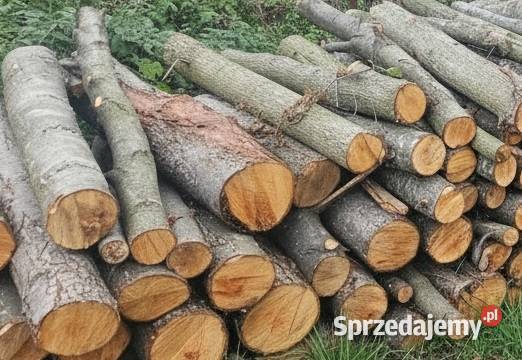 Drewno opałowe olcha olszyna Opał świętokrzyskie Zagnańsk