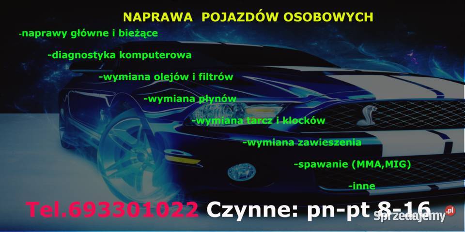 Naprawa Pojazdów Osobowych Turka