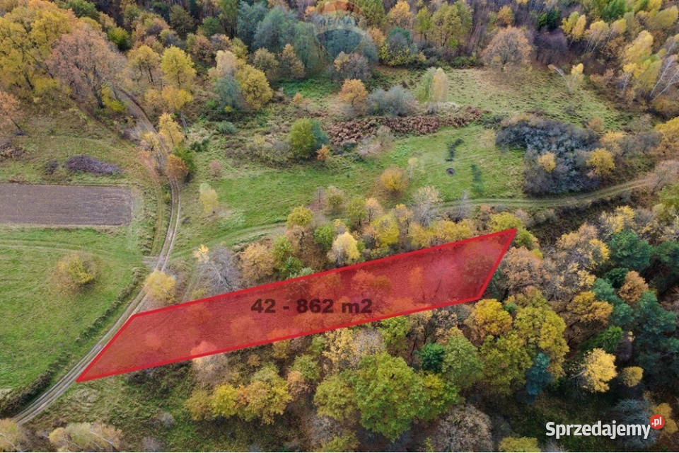 Działka leśna 862 m w Oczkowie