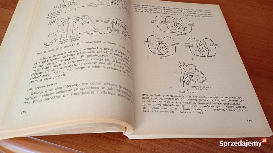 Fizjologia kręgowców P T Marshall G M Hughes pomorskie Gdańsk