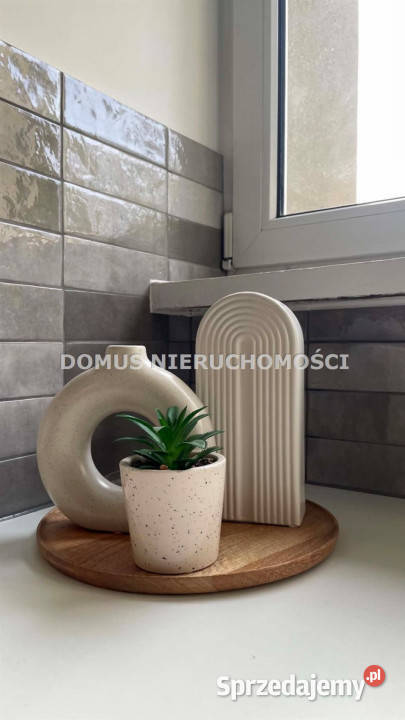 Mieszkanie Koluszki 395m2 sprzedam