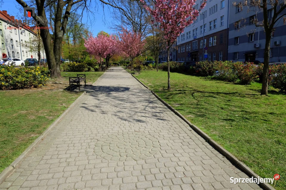 Mieszkanie 34m2 2 pokoje Bytom