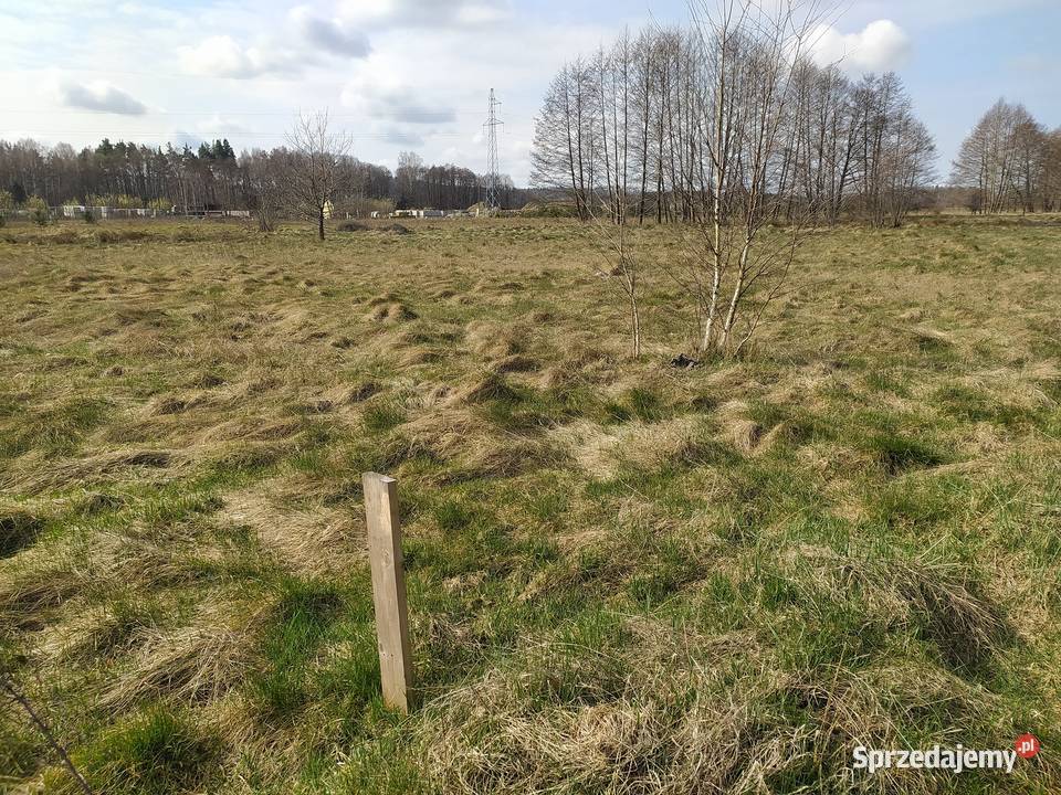 Działka z warunkami zabudowy 1217m2 Chmieleniec