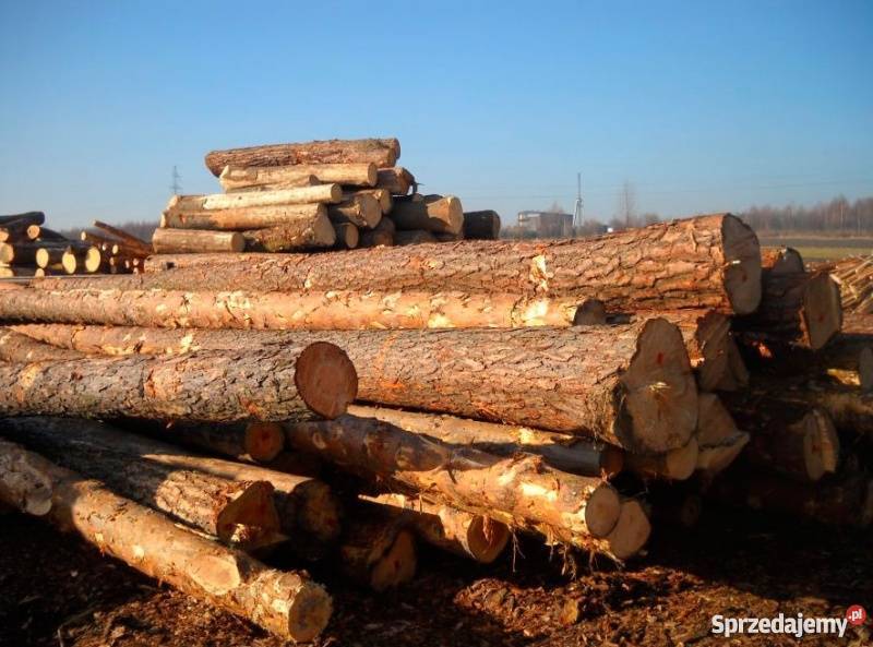 Wiezba dachowa konstrukcje dachowe TARTAKPUCHALA Poznań