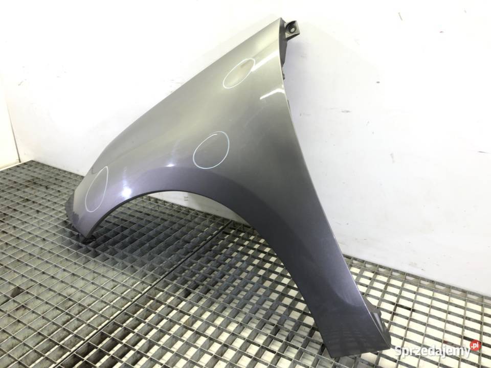 BŁOTNIK LEWY PRZÓD RENAULT GRAND SCENIC III osobowe podkarpackie