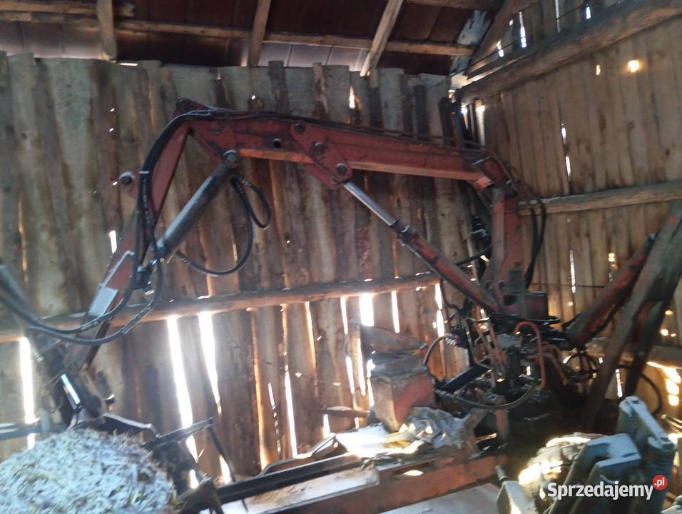 Cyklop nieuszkodzony Hajnówka