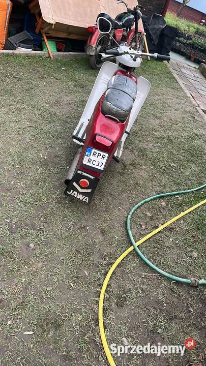 Jawa 50 kaczka sprzedam