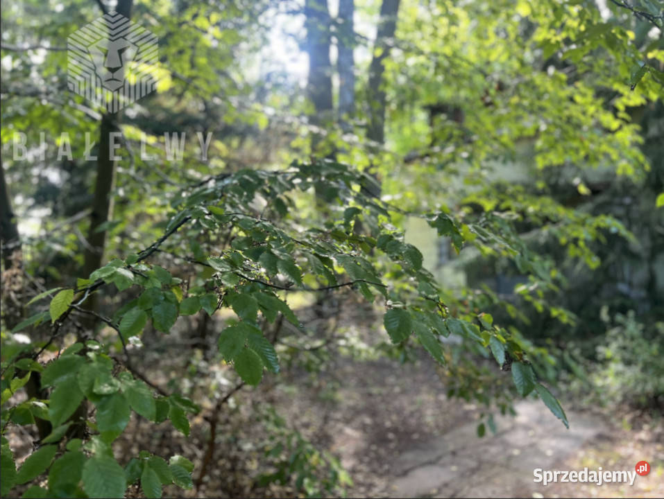 Sprzedaż działki 1150m2 Magdalenka sprzedam