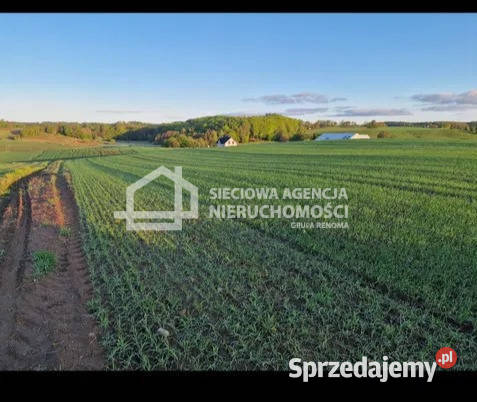 sprzedaży gruntu Kobysewo 1000 metrów 165zł/m2 Sprzedaż