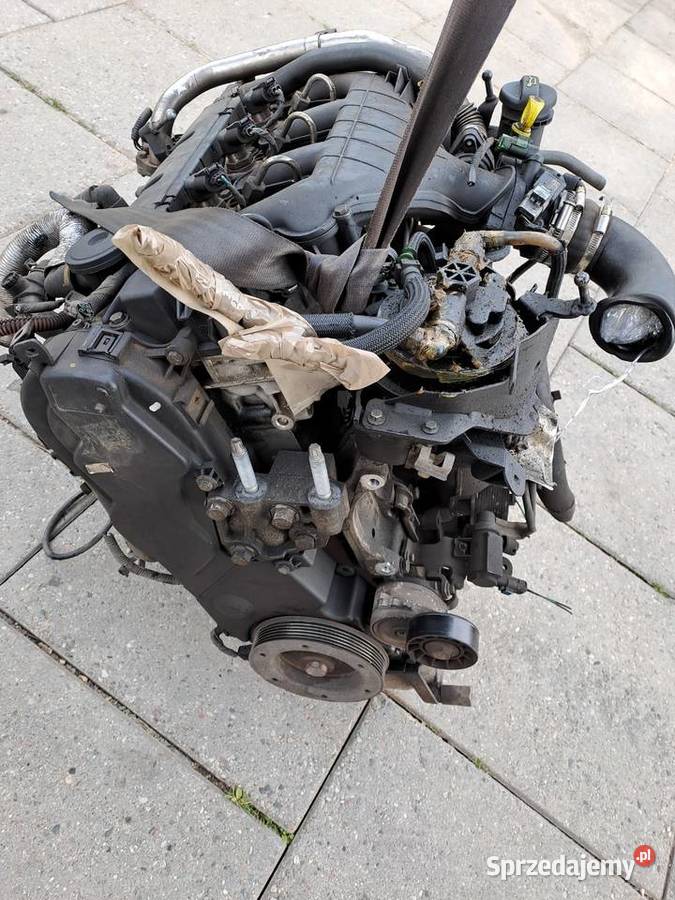 Ford Fokus C Kuga 20 TDCi silnik kompletny G6DA Jastrzębie-Zdrój sprzedam