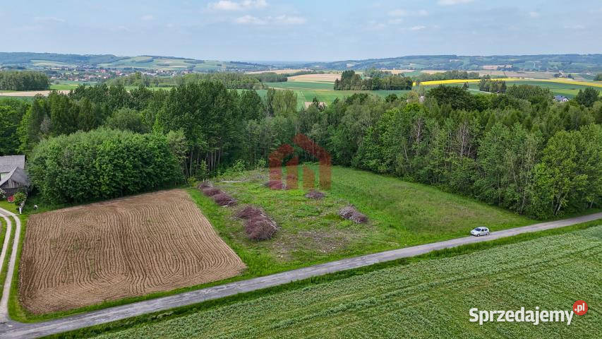 Działka 1000m2 Będzienica budowlana podkarpackie sprzedam