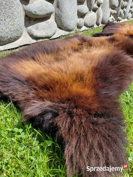 POLSKIE SKÓRY OWCZE Naturalna Skóra Owcza Skóry Szaflary