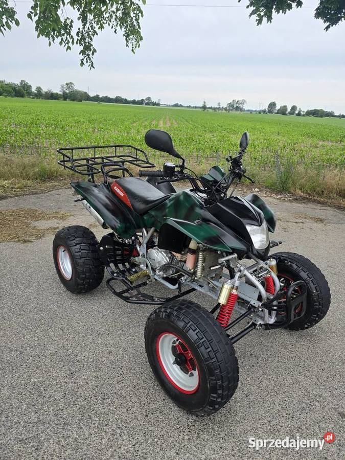 Quad Bashan Bs250S Ciecz Koła 10 Duża Rama benzyna kujawsko-pomorskie Kruszwica