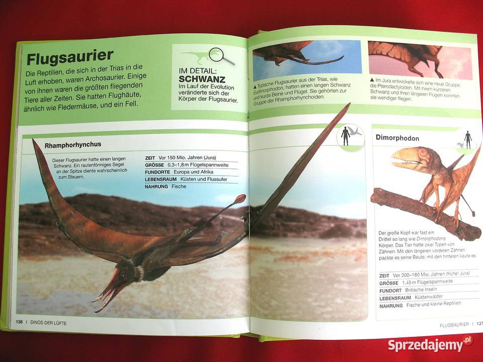 Dinosaurier Clever książka niemiecka Leksykon przyroda, krajobrazy Siedlce