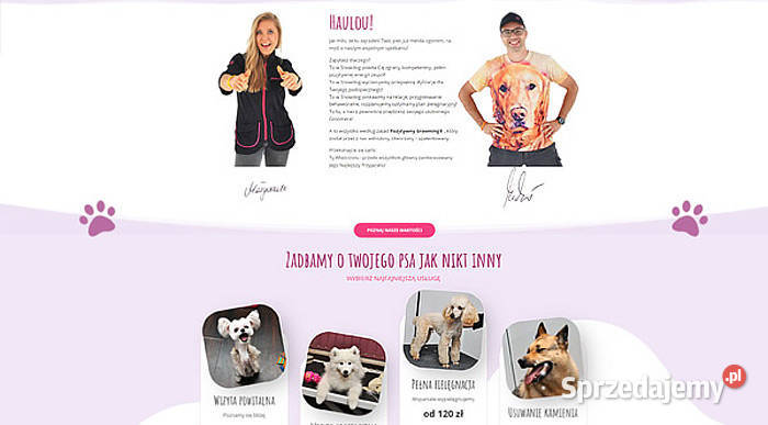 Strony WWW i Pozycjonowanie skutecznie Warszawa