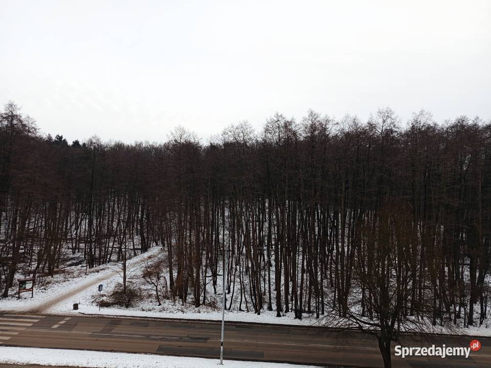 Sprzedam przytulne M4 sieć Jastrzębie-Zdrój sprzedam