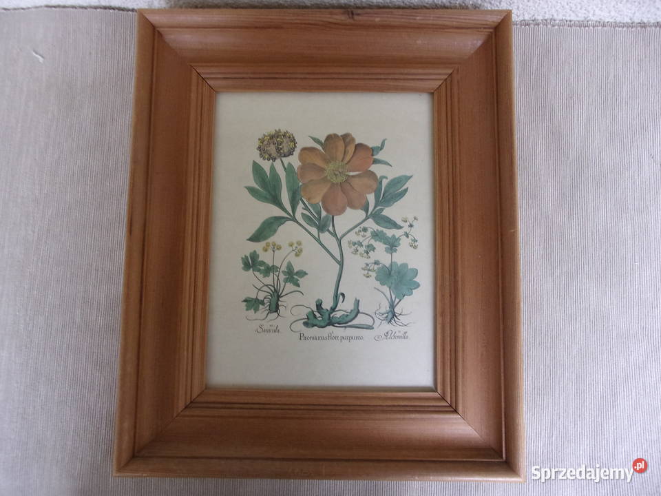 Rycina z kwiatami w drewnianej ramie szybą Warszawa sprzedam